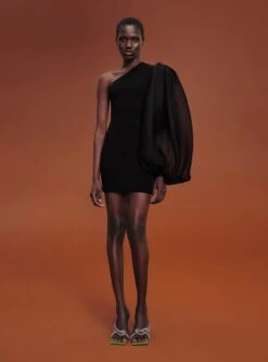 The Iona Mini Dress In Black