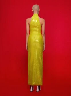 The Santina Maxi Dress In Citrus -LARA SALES STORE 220120 SolaceLondon FW22 03 061 v1
