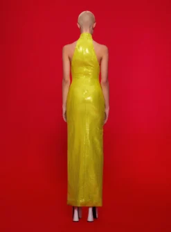 The Santina Maxi Dress In Citrus -LARA SALES STORE 220120 SolaceLondon FW22 03 061 v1 scaled