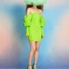 The Skye Mini Dress In Lime