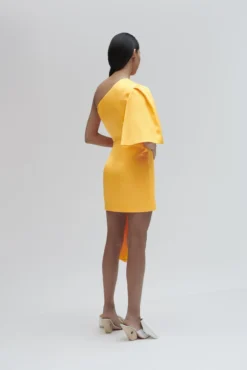 The Marcie Mini Dress In Neon Orange -LARA SALES STORE solace london os26064 marcie neon orange back 3